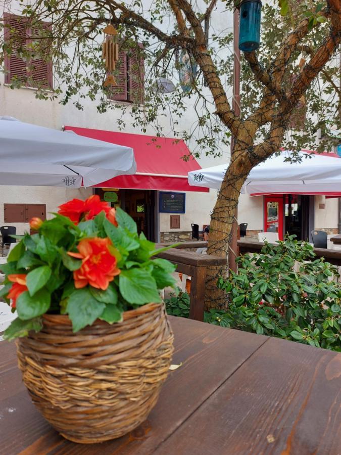 Valle Degli Etruschi B&B Grilli Екстериор снимка